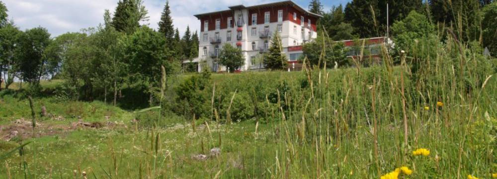 Naturparkwirt Restaurant Waldhotel am Notschreipass in Todtnau