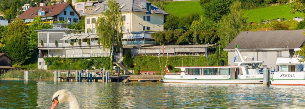 Seehotel Delphin in Meisterschwanden