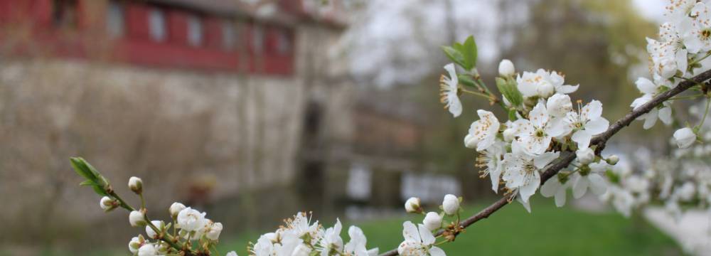 Wasserschloss Hagenwil in Hagenwil bei Amriswil