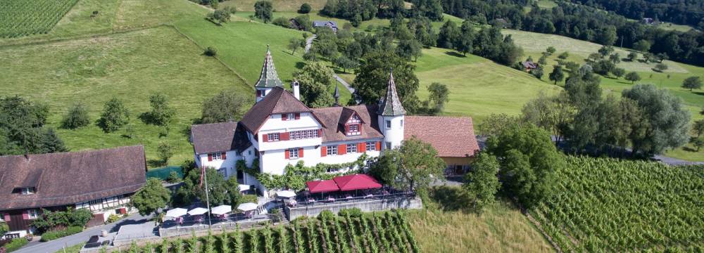 Romantik Restaurant Schloss Weinstein in Marbach