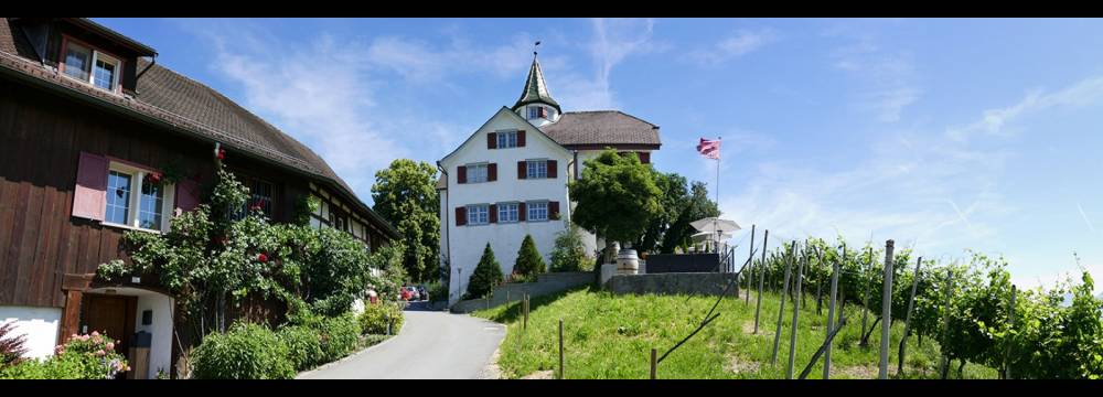 Romantik Restaurant Schloss Weinstein in Marbach