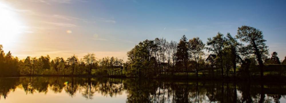 Sternensee in Samstagern