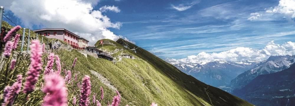 Bergrestaurant Rothorn Kulm in Brienz