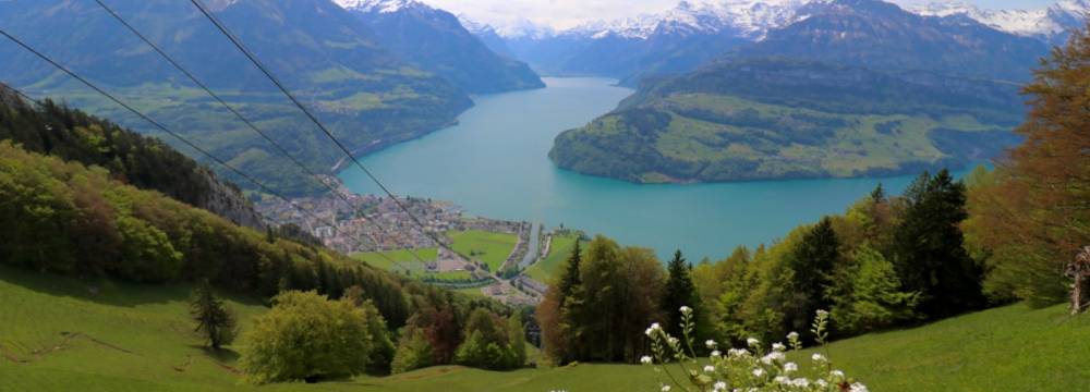 Bergrestaurant Timpelweid in Brunnen