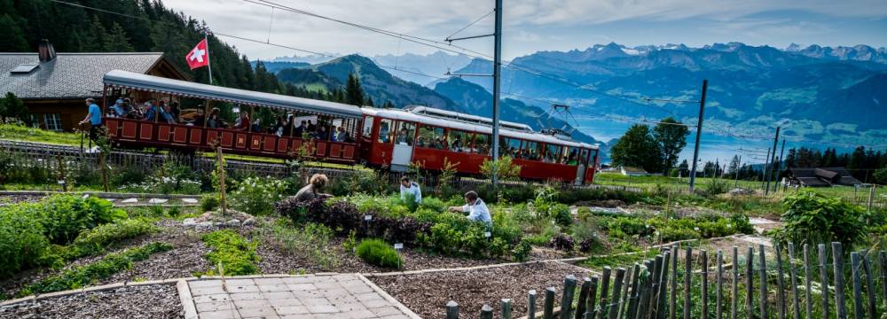 Kruterhotel Edelweiss in Rigi Kaltbad